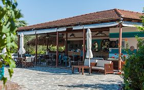 Zante Nest Studios & Apartments